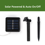 Mainstays Solar Power 200-Count Warm White Fairy LED  Wire Lights