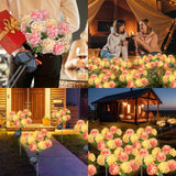 2 Pack Solar Hydrangea Flower Lights – 10-Head LED Solar Garden Lights