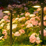 Leonlite 6 Pack Solar Pathway Lights – 120 lm LED Landscape Lights