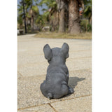 Hi-Line Gift Blue French Bulldog Puppy Sitting Statue, Realistic Polyresin Indoor Dog Figurine