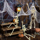 2-Pack 16" Poseable Halloween Skeleton Decorations, Realistic Full Body Hanging Props