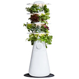 Lettuce Grow Farmstand Nook Indoor Hydroponic Garden System – Grow Up to 20 Herbs, Greens &amp; Vegetables with LED Grow Lights