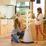 Lettuce Grow Farmstand Nook Indoor Hydroponic Garden System – Grow Up to 20 Herbs, Greens &amp; Vegetables with LED Grow Lights