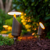 VOLT Low Voltage LED Landscape Lighting Kit, 17 Brass Fixtures with Transformer