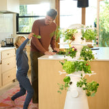 Lettuce Grow Farmstand Nook Indoor Hydroponic Garden System – Grow Up to 20 Herbs, Greens &amp; Vegetables with LED Grow Lights