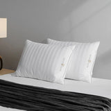 Hotel Grand Softy Around Feather & Down Pillow, 2-pack, 500 Thread Count Cotton
