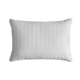 Hotel Grand Softy Around Feather & Down Pillow, 2-pack, 500 Thread Count Cotton