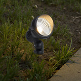 C Cattleya 13.25" Low-Voltage LED Landscape Spotlights,600 lm Warm White