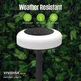 Bell + Howell Vividisk Color Changing Solar LED Disk Ground Lights, 8-Pack