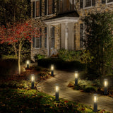 C Cattleya Black Solar LED Outdoor Path Lights for Landscape,Pathway and Driveway