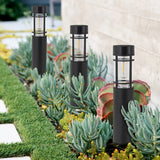 C Cattleya Black Solar LED Outdoor Path Lights for Landscape,Pathway and Driveway