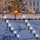 24 Ct C9 LED  Bulbs Warm White Christmas Walkway Lights, 30.75 ft
