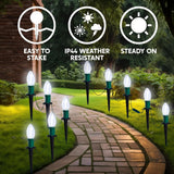 24 Ct C9 LED  Bulbs Warm White Christmas Walkway Lights, 30.75 ft