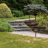 Innovations Solar Wave Glass Path Lights, 2-Pack, Black, 30 Lumens, Warm White LEDs