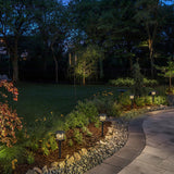C Cattleya Solar LED Pathway Lights, Black Lantern Style, 3000K Warm White