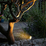 C Cattleya 13.25" Low-Voltage LED Landscape Spotlights,600 lm Warm White