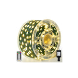 1000 LED Christmas String Lights, 330 ft, Warm White, Green Wire