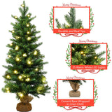 Costway 3 ft Pre-Lit Tabletop Christmas Tree with 50 Warm LED Lights and Timer