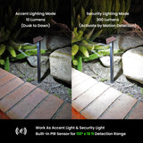 Home Zone Living Secure Linkable Solar Pathway Lights, 4-Pack, 300-Lumen Motion Sensor