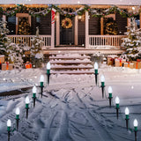 24 Ct C9 LED  Bulbs Warm White Christmas Walkway Lights, 30.75 ft