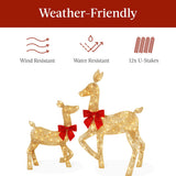 Best Choice Products 3-Piece 2D Lighted Deer Family, 4ft Outdoor Christmas Set with 175 Warm White LEDs