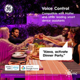GE Cync 48ft Smart LED Café String Lights, Multicolor with Individual Bulb Control