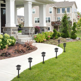 C Cattleya Solar LED Pathway Lights, Black Lantern Style, 3000K Warm White