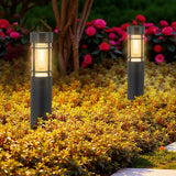 C Cattleya Black Solar LED Outdoor Path Lights for Landscape,Pathway and Driveway