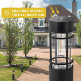 C Cattleya Black Solar LED Outdoor Path Lights for Landscape,Pathway and Driveway