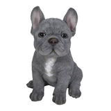 Hi-Line Gift Blue French Bulldog Puppy Sitting Statue, Realistic Polyresin Indoor Dog Figurine