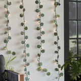 Mainstays Eucalyptus Curtain String Lights, 9.5 ft x 6.56 ft, 480 Warm White Incandescent Lights