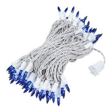 100-Count Incandescent Mini Christmas String Lights, 50 ft White Wire Holiday Light Set,