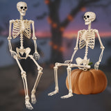 5.4 Ft Life-Size Poseable Halloween Skeleton, Flexible Full Body Decor