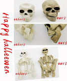 2-Pack 16" Poseable Halloween Skeleton Decorations, Realistic Full Body Hanging Props