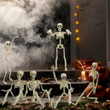 2-Pack 16" Poseable Halloween Skeleton Decorations, Realistic Full Body Hanging Props