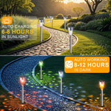 12 Pack Stainless Steel Solar Pathway Lights – LED Solar Garden Stake Lights