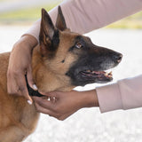 PetSafe Guardian GPS 2.0 Wireless Dog Fence and Real-Time Tracker with 2-Year Subscription