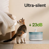 Petlibro Capsule Stainless Steel Cat Water Fountain