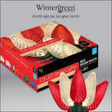 Wintergreen Lighting C9 Christmas Lights, 25-Ct 17FT LED String Lights for Holiday Decorations