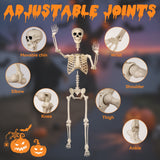 5.4 Ft Life-Size Poseable Halloween Skeleton, Flexible Full Body Decor