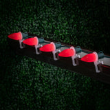 25-Count C9 LED Christmas String Lights, 25FT Smooth Plastic Bulb String Lights