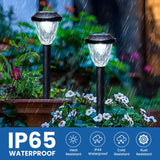 8 Pack Solar Stainless Steel Pathway Lights – Fireworks Shaped Cold White Garden Lights