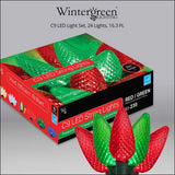 Wintergreen Lighting C9 Christmas Lights, 25-Ct 17FT LED String Lights for Holiday Decorations