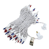 100-Count Incandescent Mini Christmas String Lights, 50 ft White Wire Holiday Light Set,
