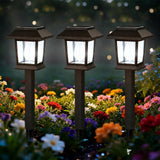 12 Pack Solar Pathway Lights – 6000 K Cool White LED Landscape Lights