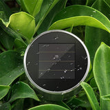 DAILIHIVE 10 Pack Stainless Steel Solar Spike Lights – 3-Color LED Pathway & Landscape Lights