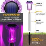 10 Pack Solar Pathway Lights – Crystal-style LED Garden Lights