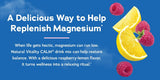 Natural Vitality CALM Magnesium Citrate Powder – Raspberry Magnesium Drink Mix, 20 oz, Vegan & Gluten Free