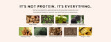 Ka'Chava All-In-One Nutrition Shake Chocolate – Plant-Based Meal Replacement Protein Powder, 30 Servings