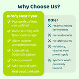 Birdfy Smart Bird House with 1080p Camera, Solar Charging & AI Nest Monitoring